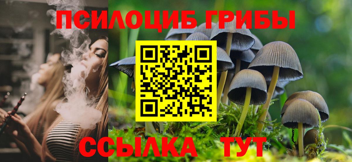 Белая Калитва  Псилоцибиновые грибы Psilocybe  Вход с VPN  Псилоцибиновые грибы прущие грибы 
